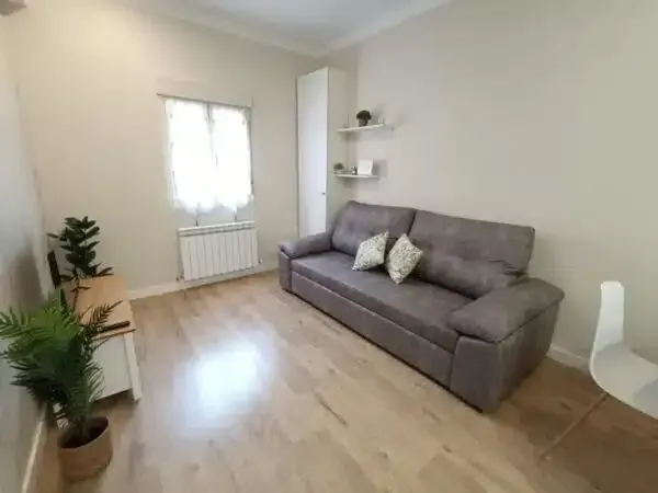 Un acogedor salón con un sofá gris, suelo de madera clara, una ventana con cortinas, un armario alto y plantas en macetas.