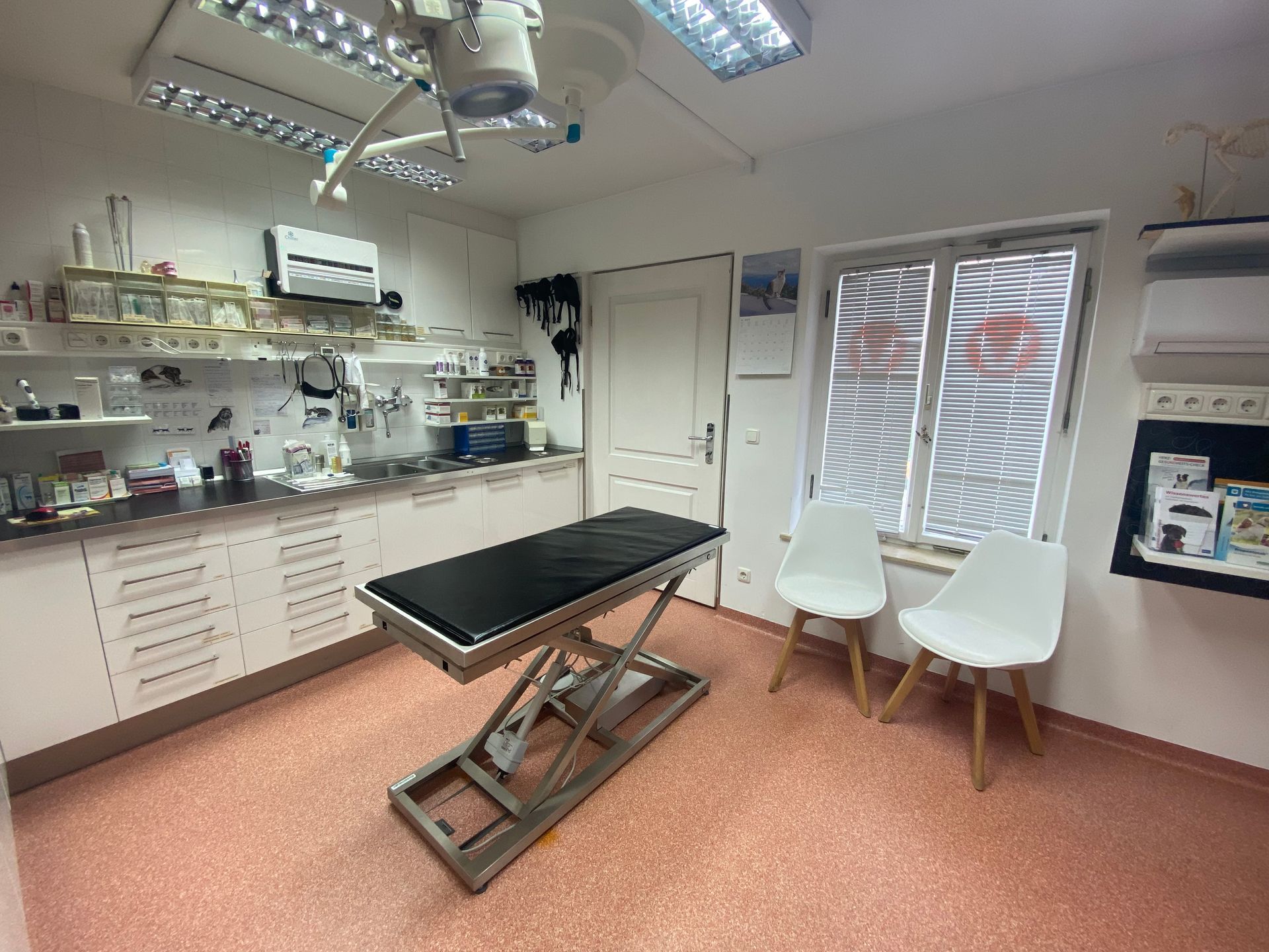 Kleintierpraxis Oberweimar Behandlungsraum