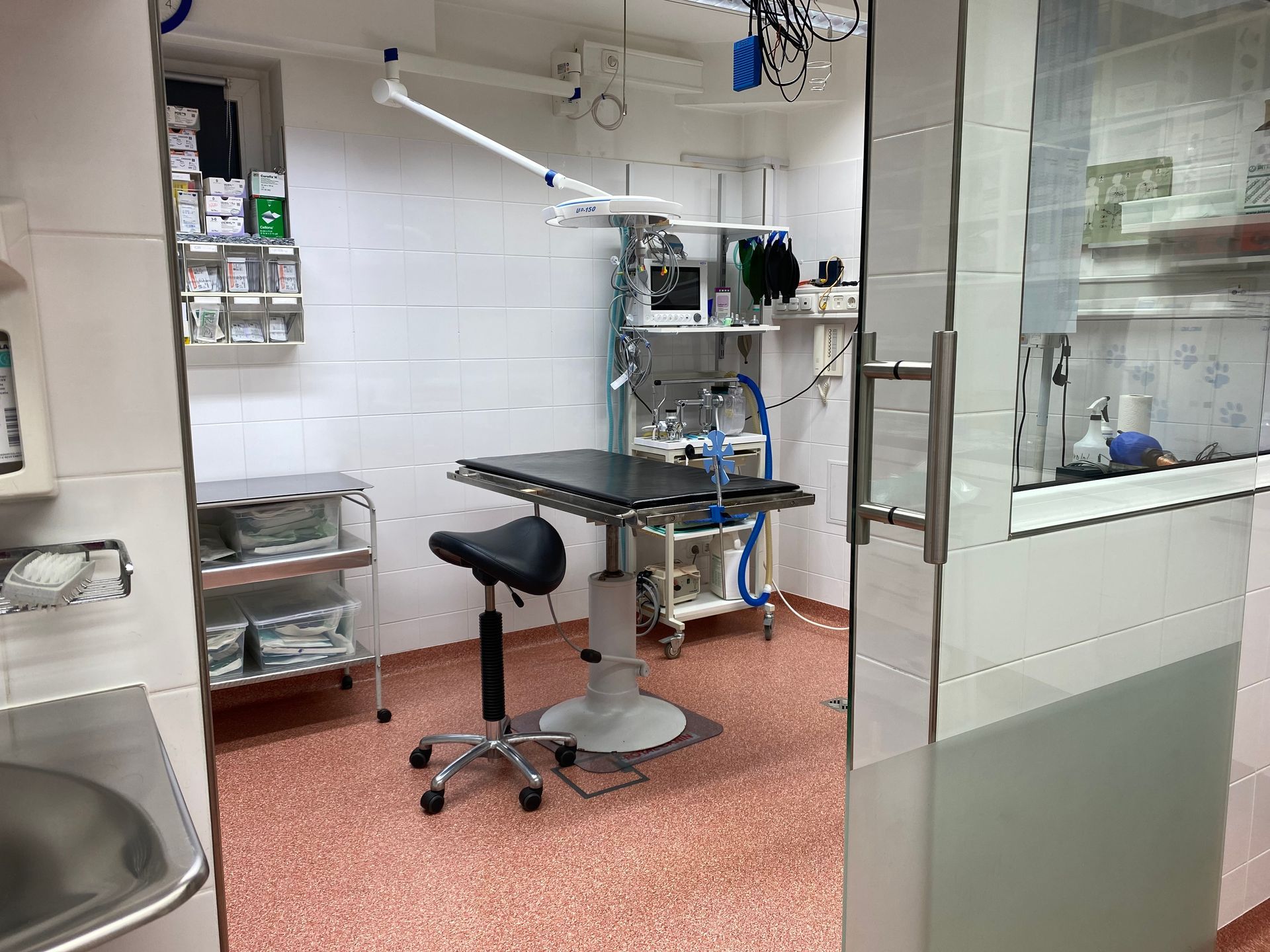 Kleintierpraxis Oberweimar Behandlungsraum