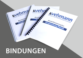 Drahtringbindung, Sure Bindung und Plastringbindung 