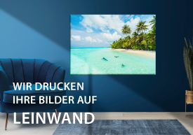Blaue Wand mit blauen Sofa. An der Wand hängt eine Leinwand mit Karibik Motiv.