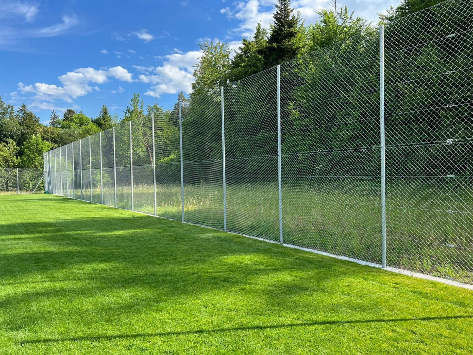 Saftig grünes Feld und weißer Netzzaun vor einem Wald unter blauem Himmel mit Wolken.