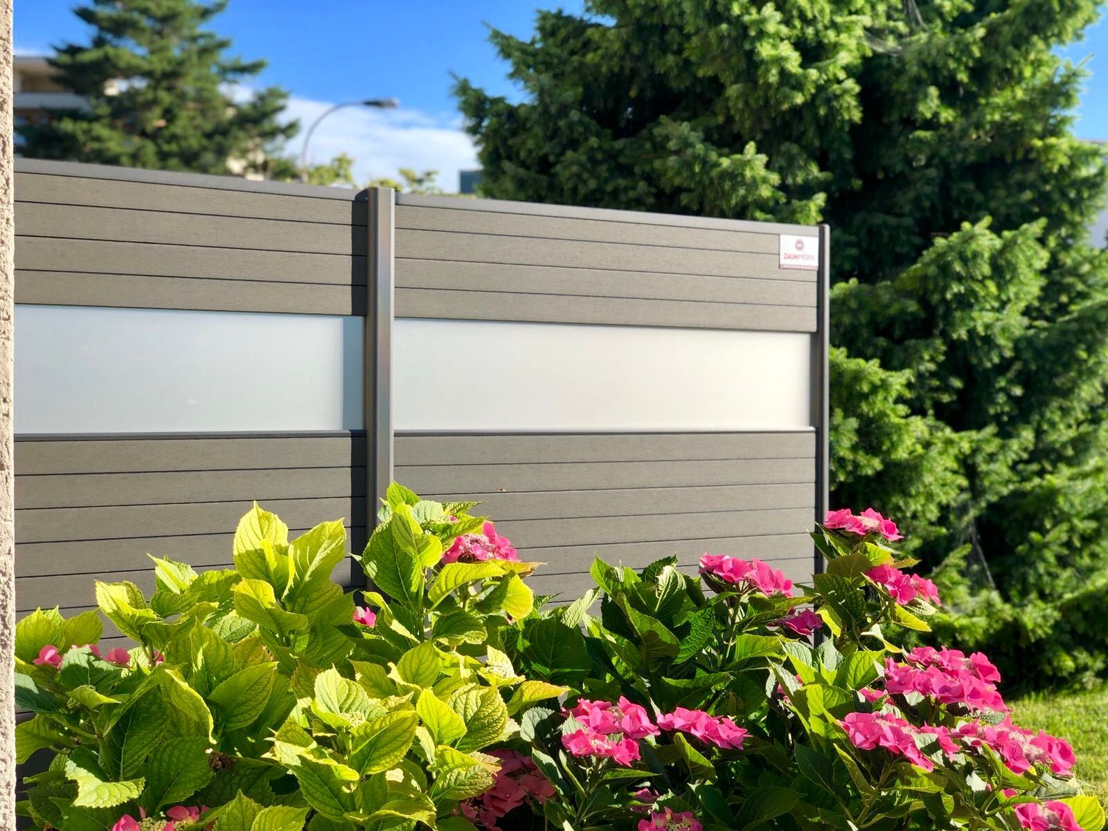 Grauer Sichtschutzzaun mit Milchglasscheibe, umgeben von grünen und rosa blühenden Pflanzen.