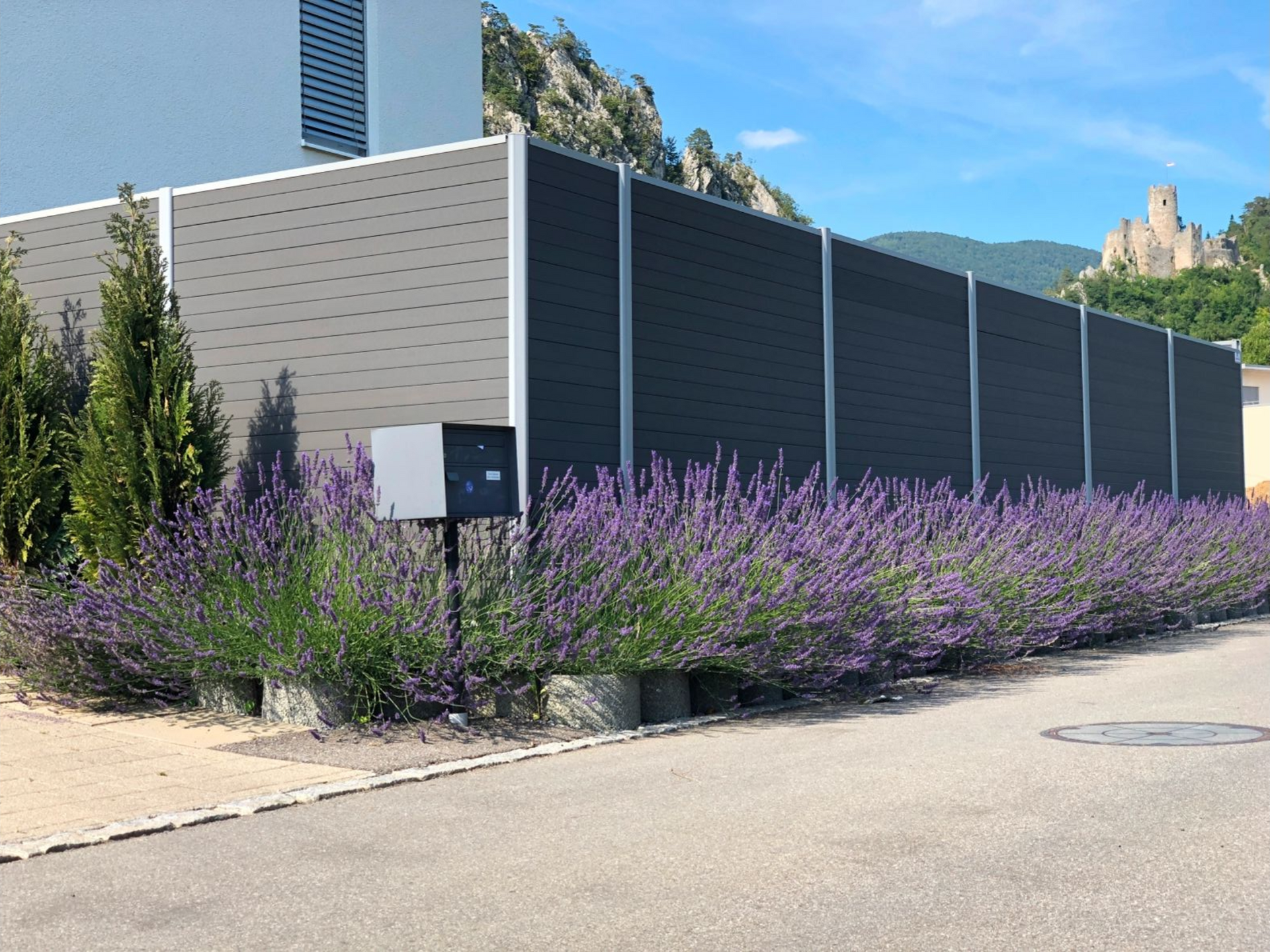 Ein langer, dunkler Sichtschutzzaun mit Lavendel davor, einem Gebäude dahinter und einem Berg im Hintergrund.
