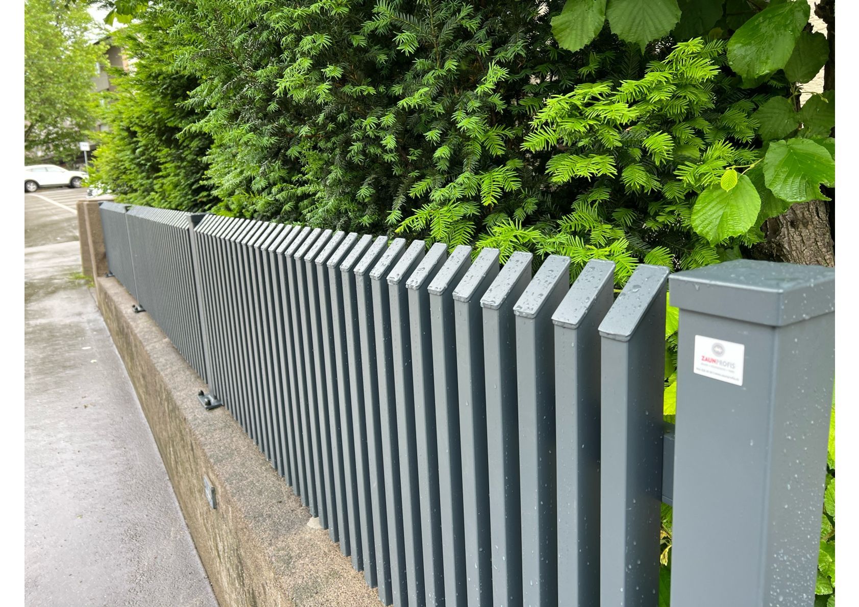 Grauer Lattenzaun neben einer grünen Hecke und einer Betonmauer.