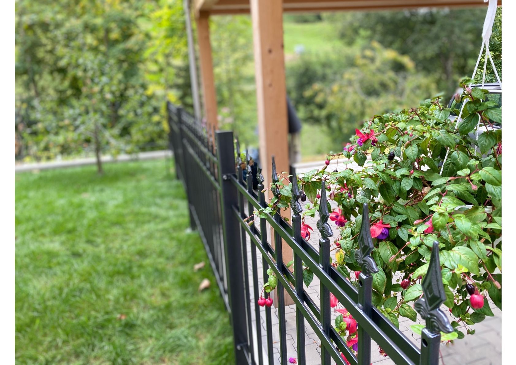 Schwarzer Eisenzaun mit einem hängenden Blumenkorb in einem grünen Hof.