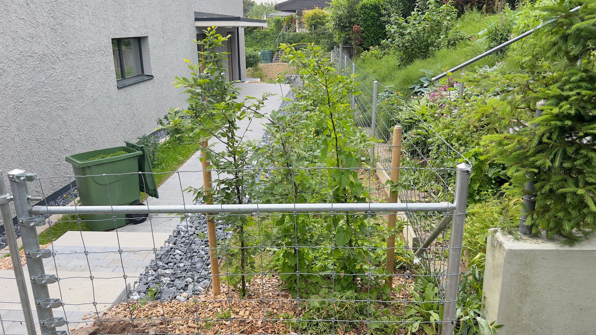Ein Metallzaun umschließt einen kleinen, verwilderten Garten neben einem Haus. In der Nähe des Hauses steht eine grüne Tonne.