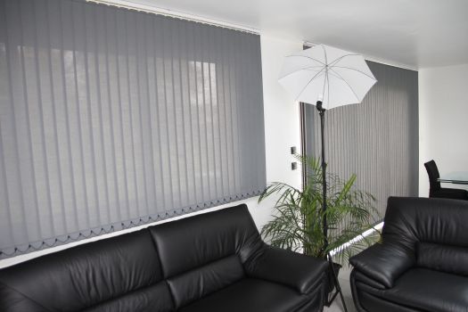 Salon moderne avec canapés en cuir noir, murs gris, stores verticaux, plante en pot et parasol lumineux.