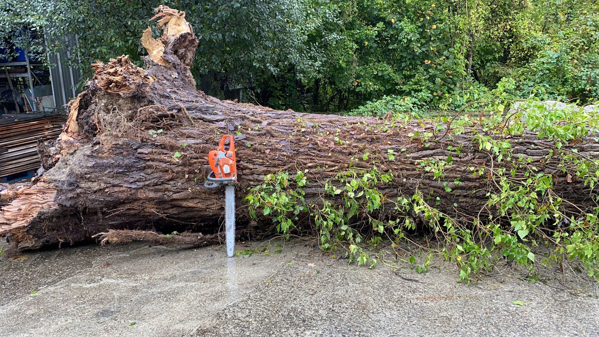 OekoPrax Völlmin AG