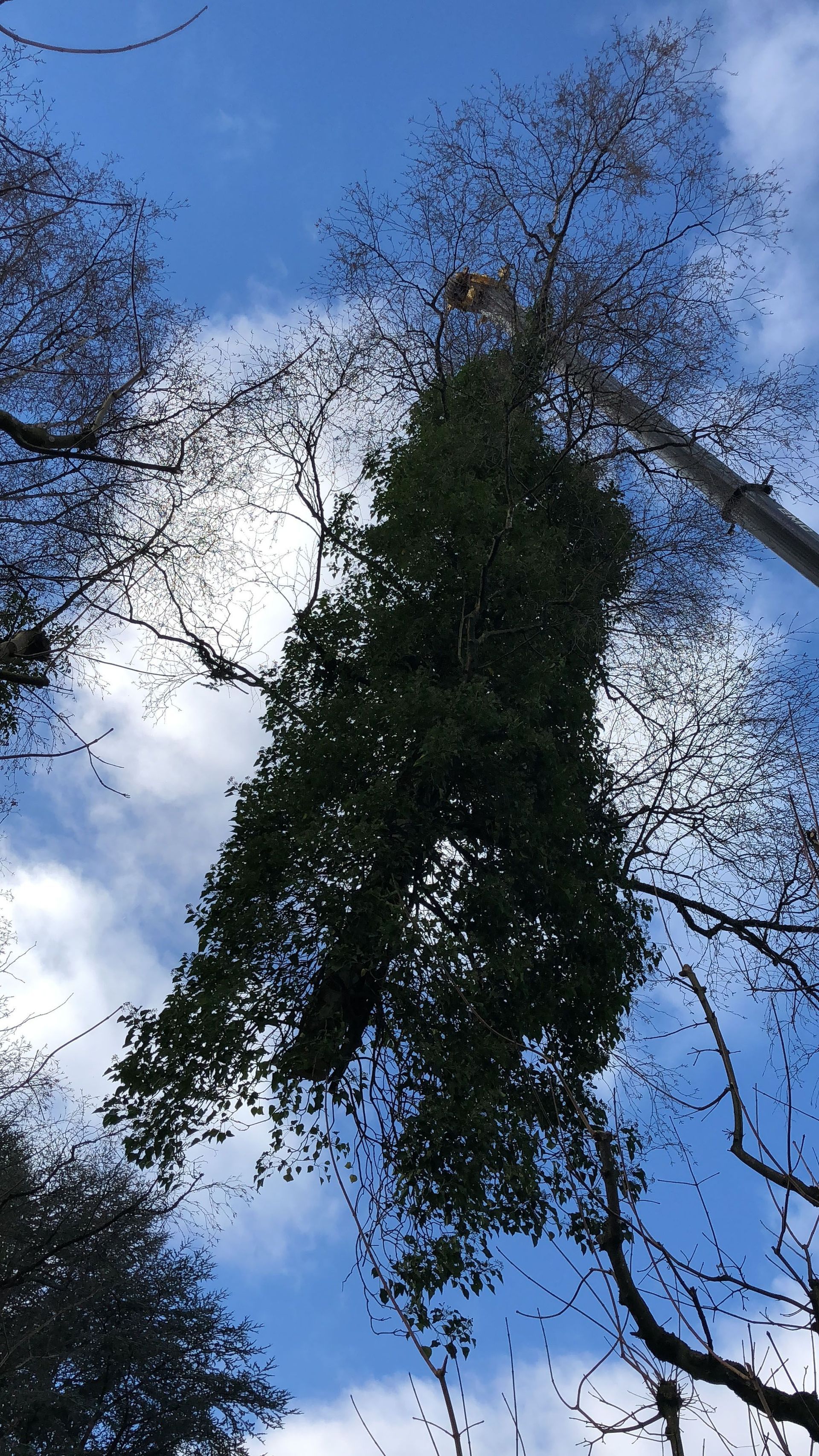 OekoPrax Völlmin AG