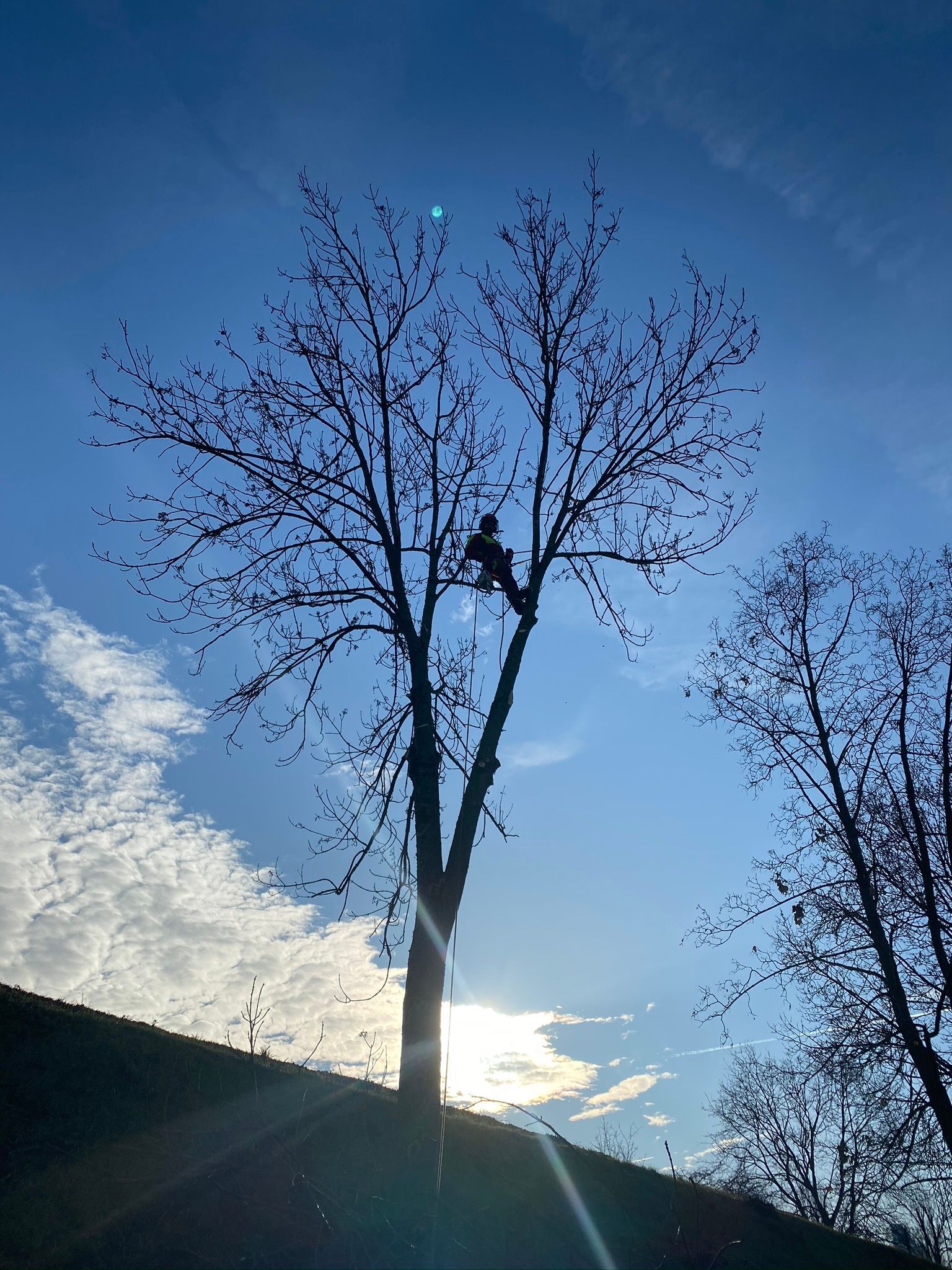 OekoPrax Völlmin AG