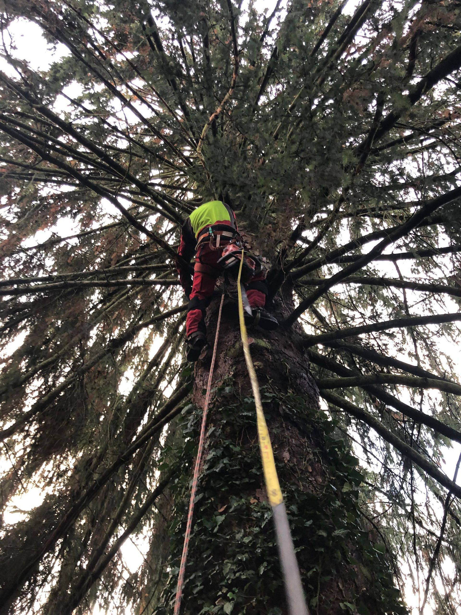 OekoPrax Völlmin AG