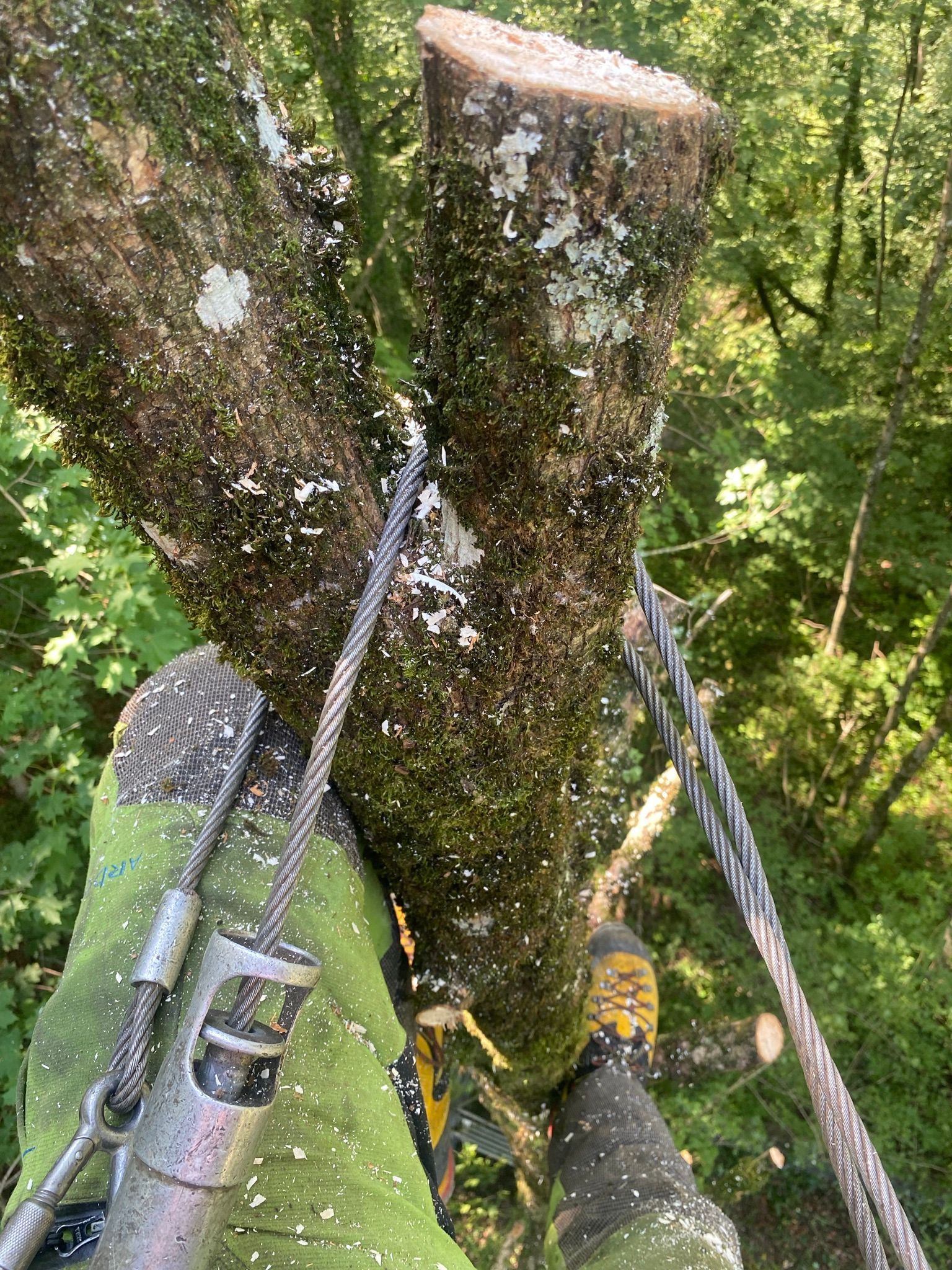 OekoPrax Völlmin AG