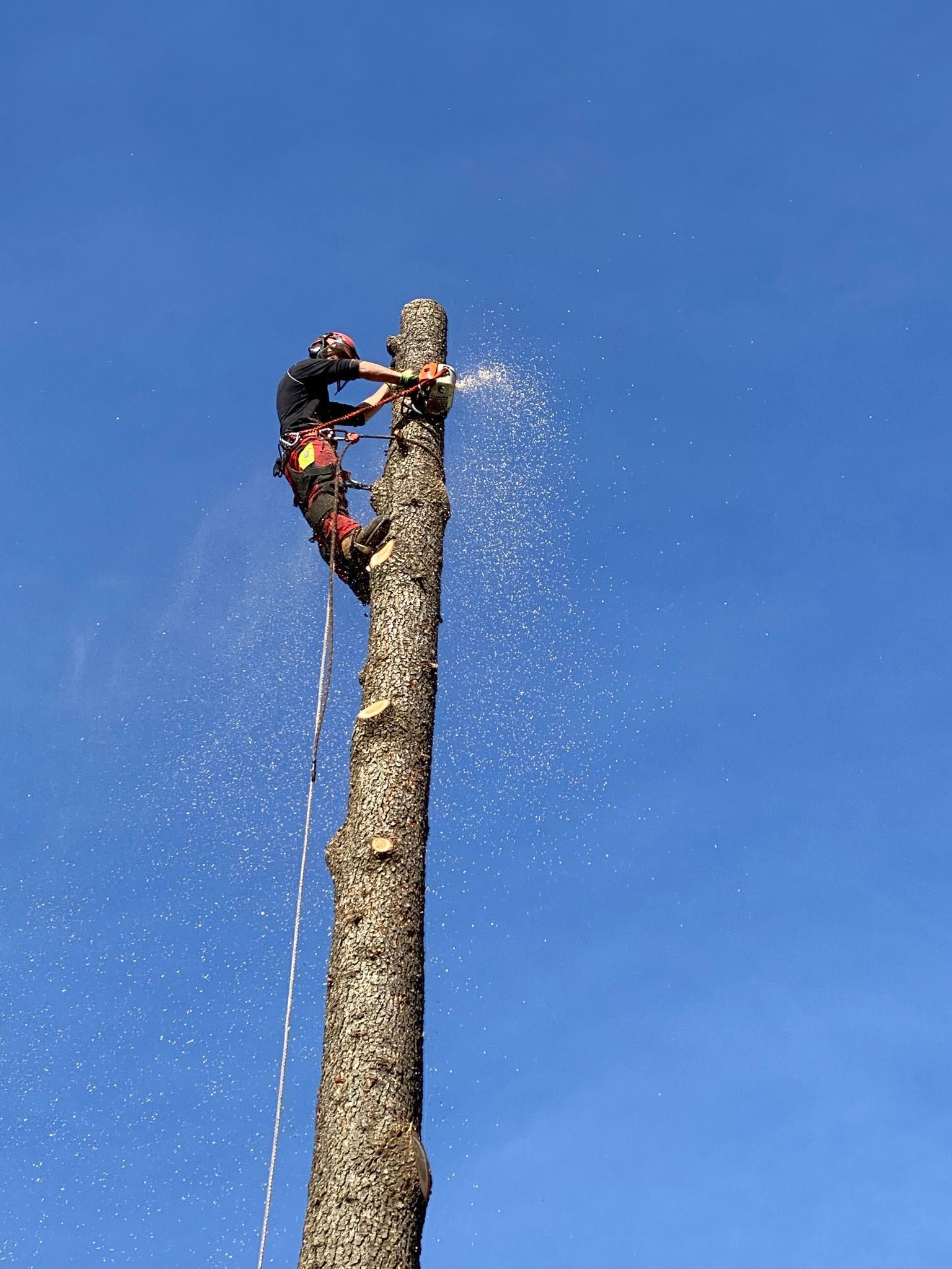 OekoPrax Völlmin AG