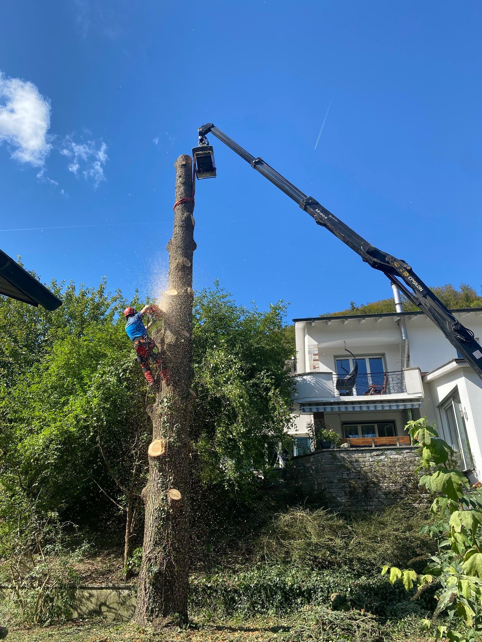 OekoPrax Völlmin AG