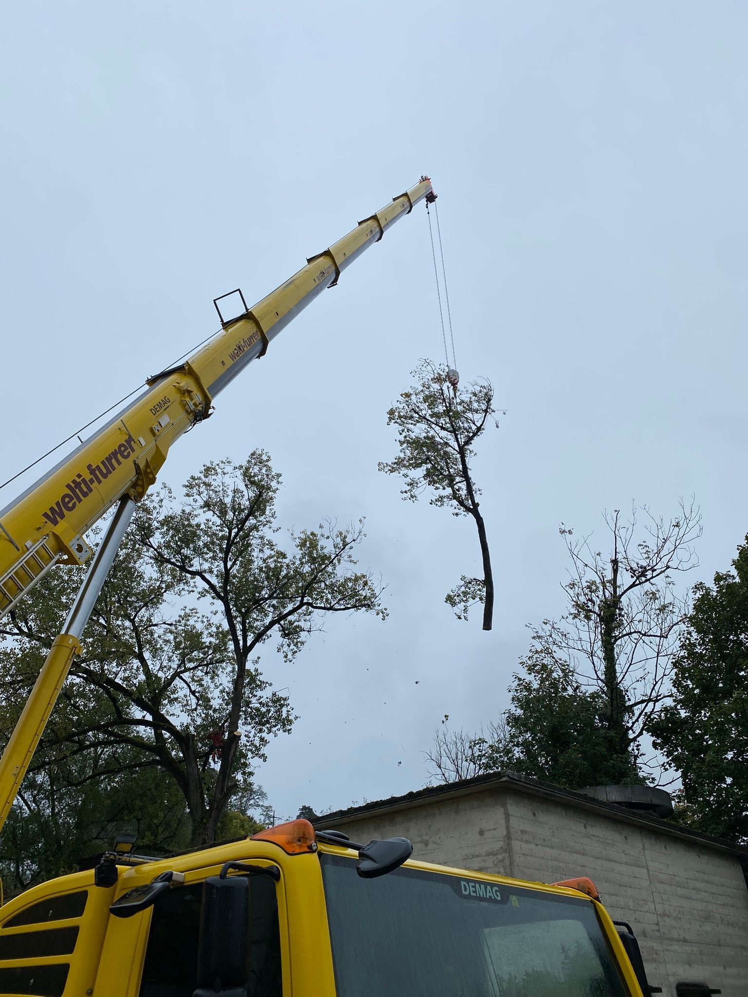 OekoPrax Völlmin AG