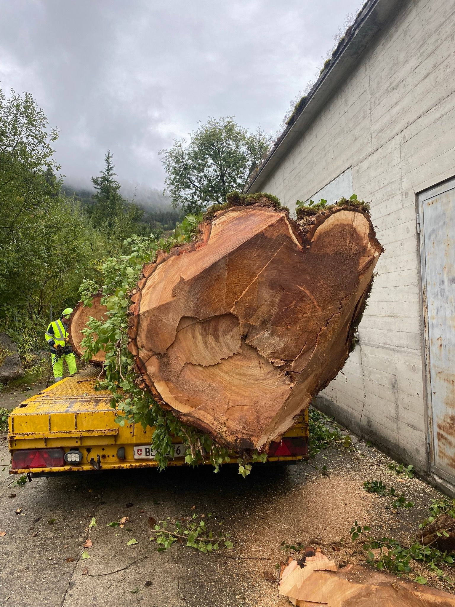 OekoPrax Völlmin AG