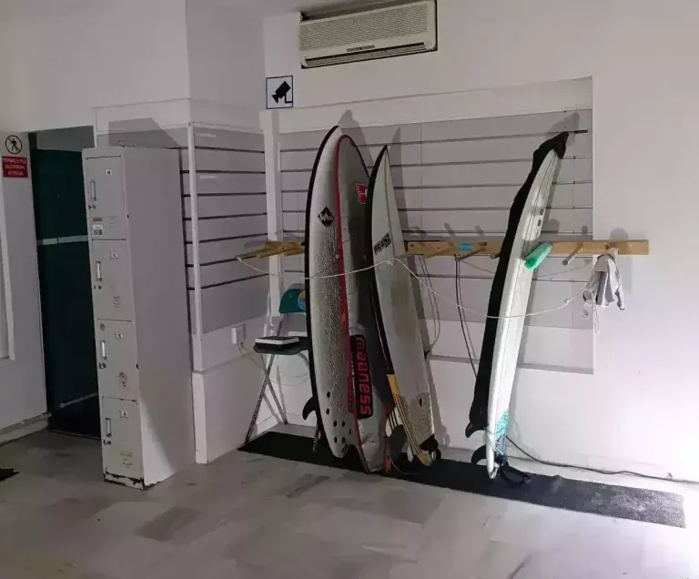 Tres tablas de surf están colgadas en la pared de una habitación.