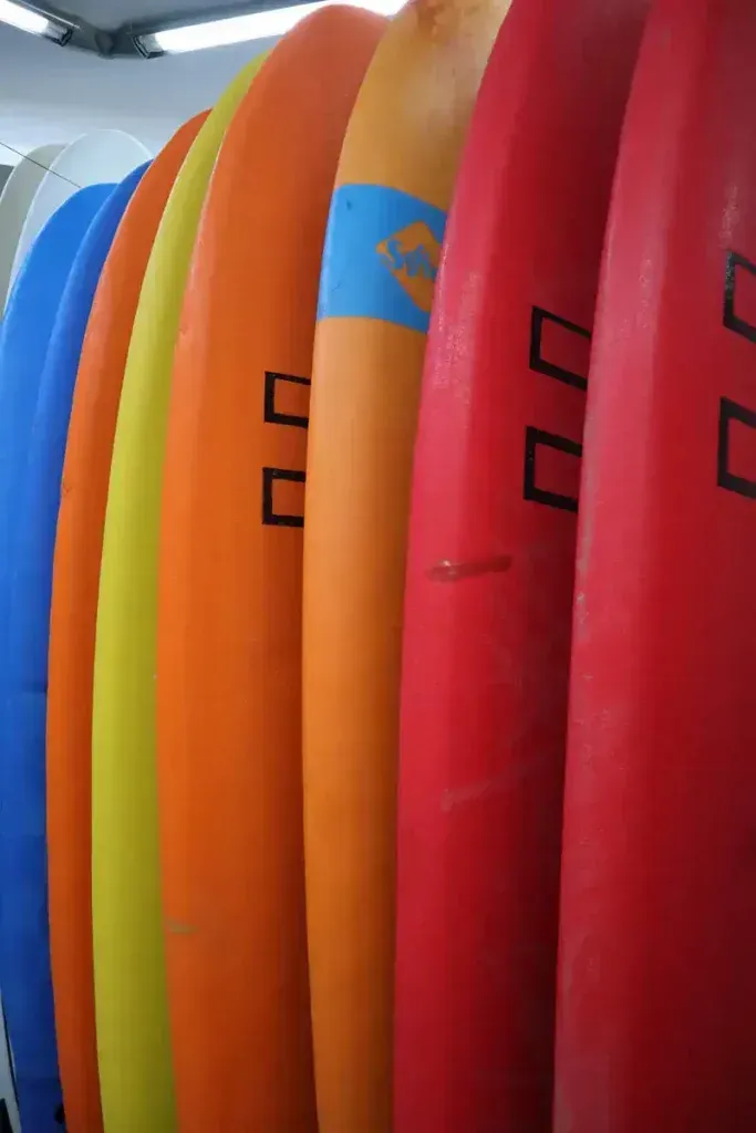 Un montón de tablas de surf están alineadas en fila