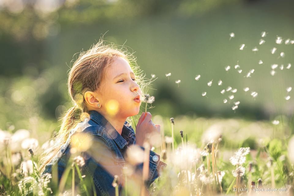 Mädchen pustet Löwenzahnsamen auf ein Feld; sonnenbeschienen, fröhlich.