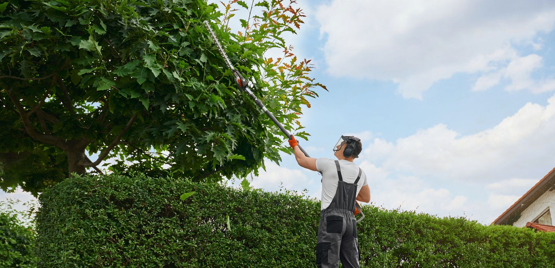 Une personne élague un arbre avec une scie à perche.