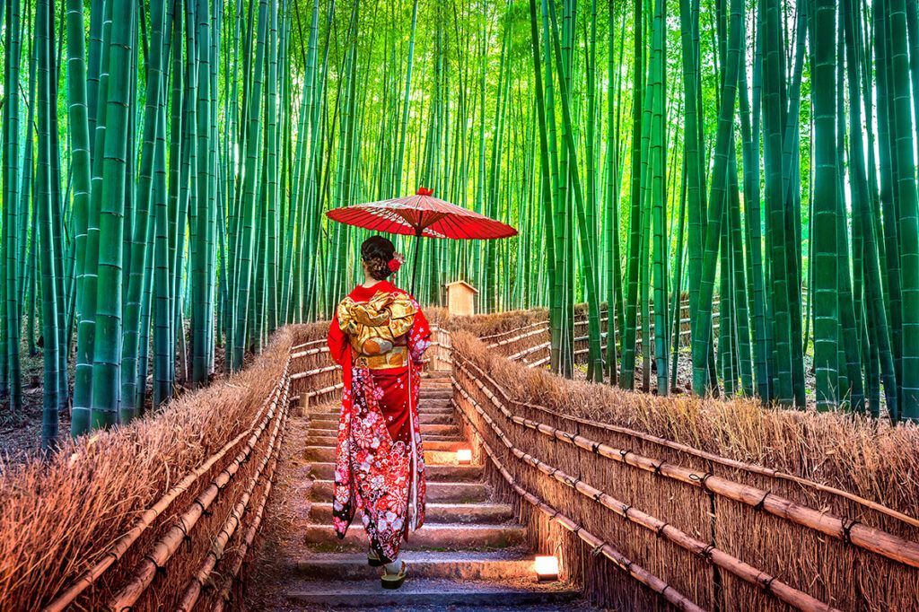 A woman in a kimono is walking down stairs in a bamboo forest holding an umbrella.