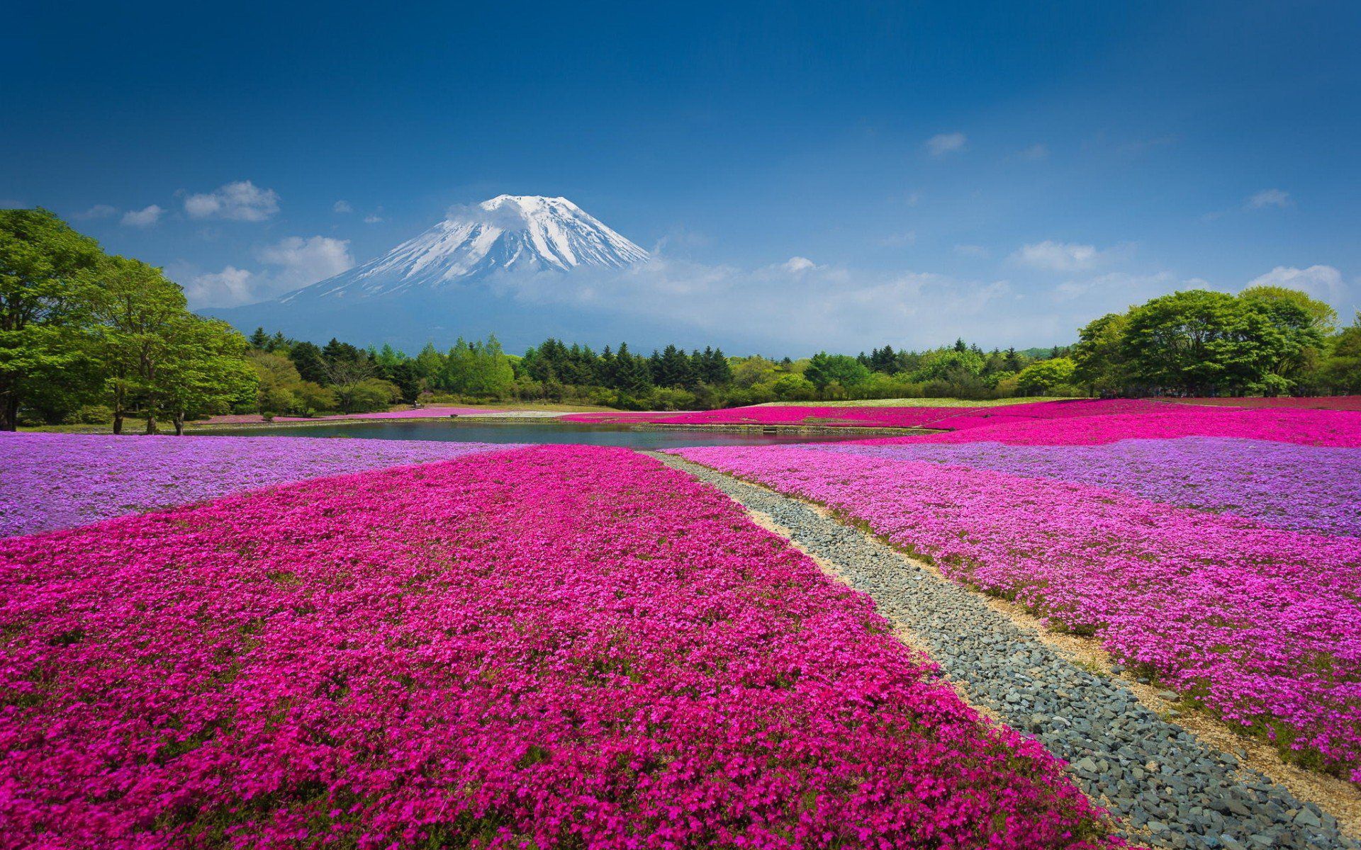 Japan Cruise | Cruise Monks