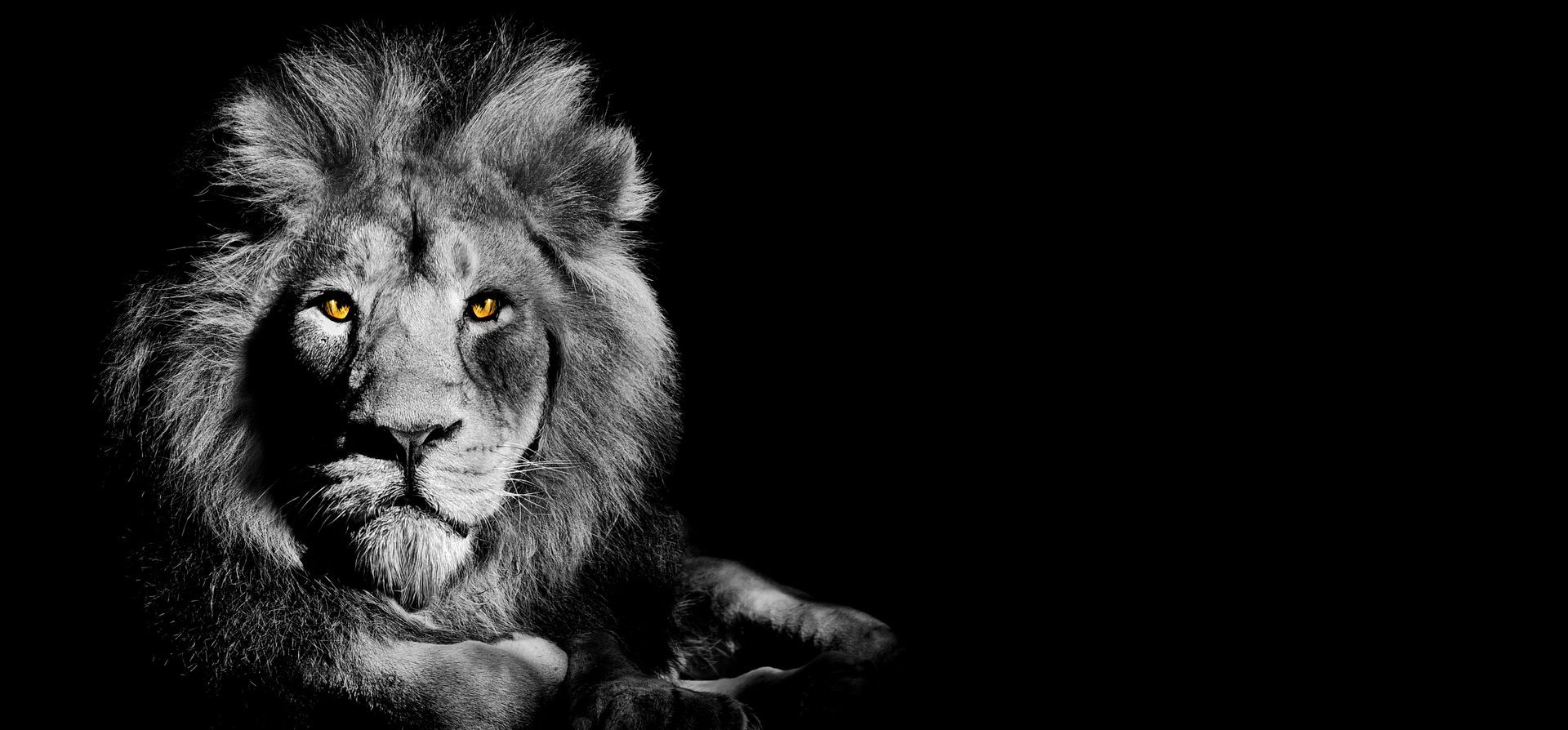 Africa and Indian Ocean Cruise | Cruise Monks