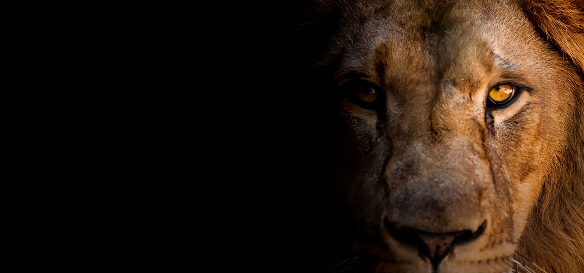 Africa and Indian Ocean Cruise | Cruise Monks