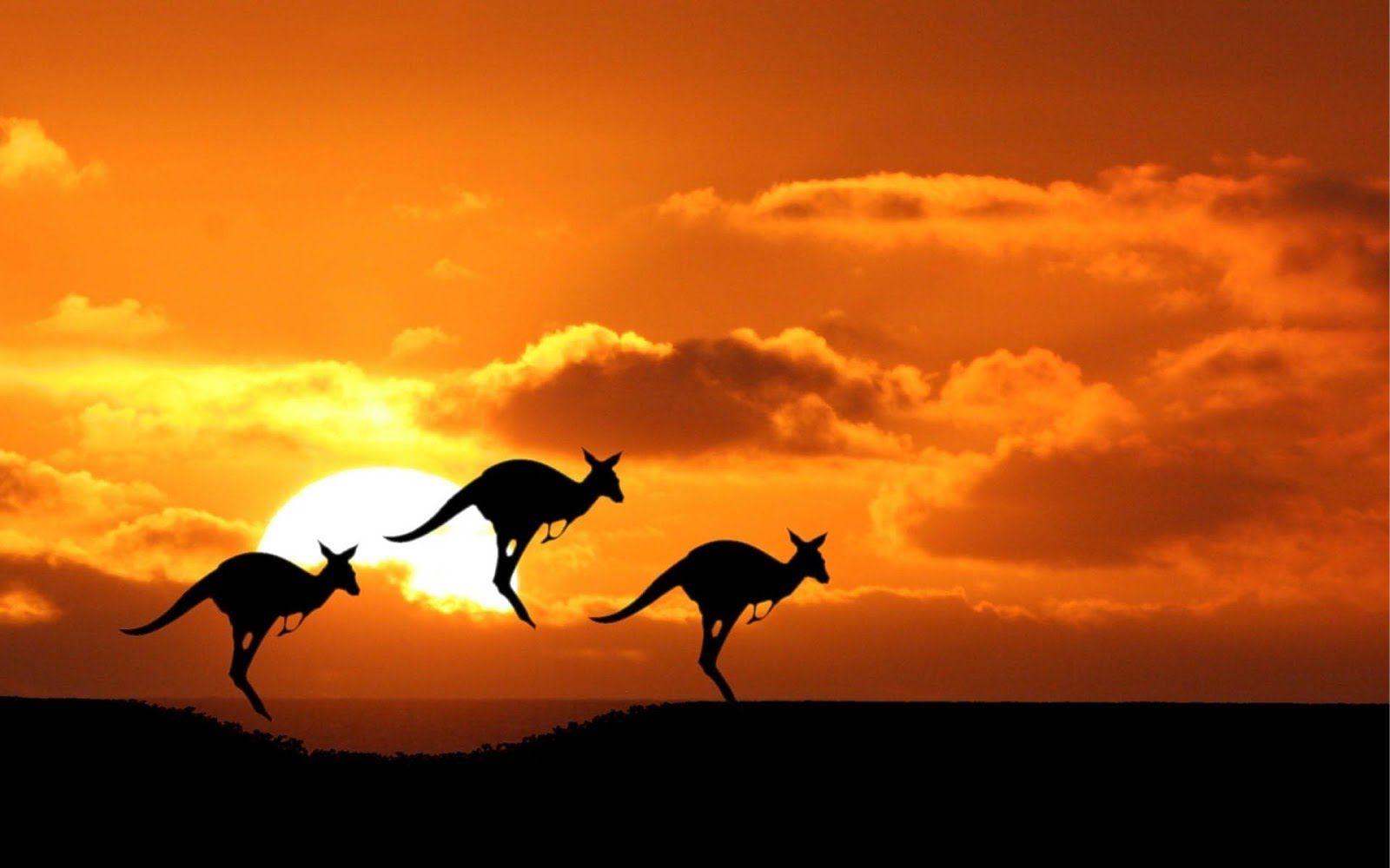 All Inclusive Australia Cruise | Cruise Monks