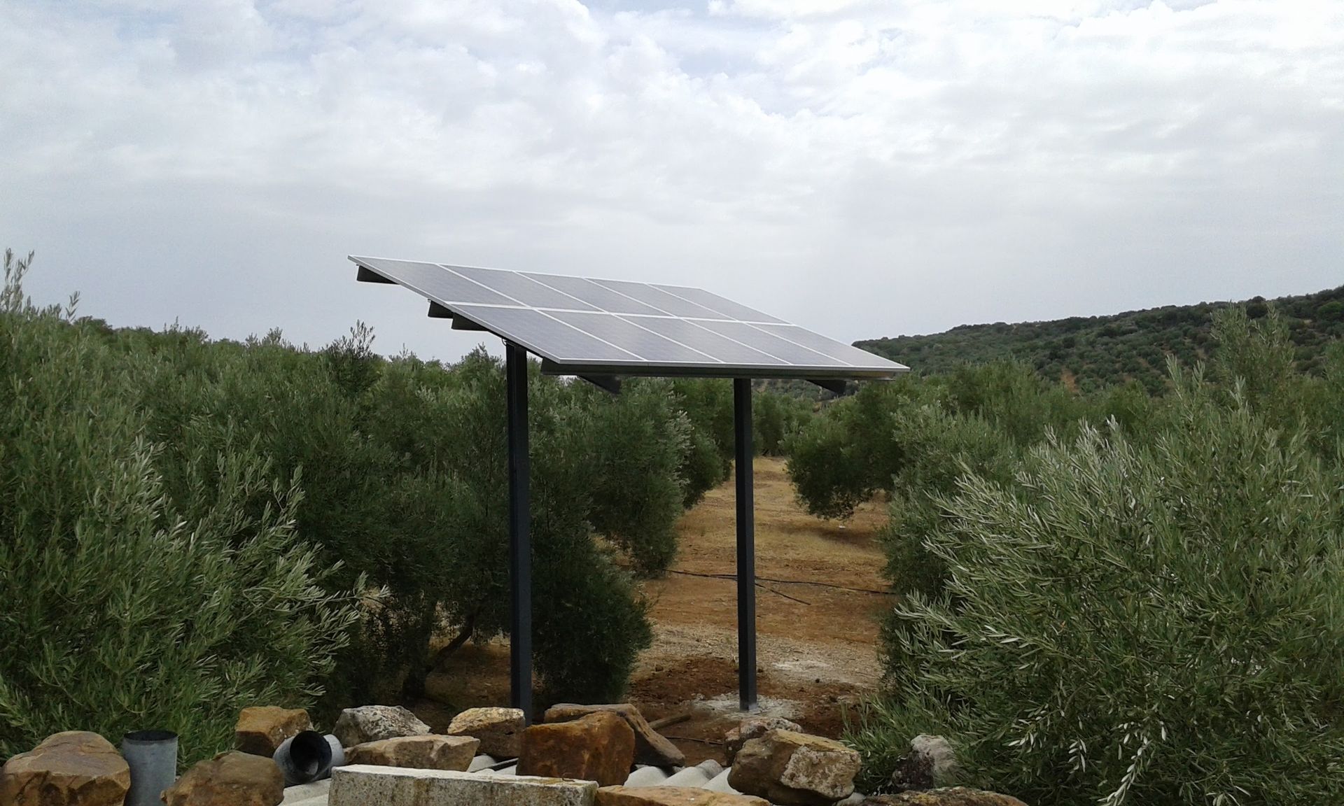 Un panel solar está situado en medio de un campo.
