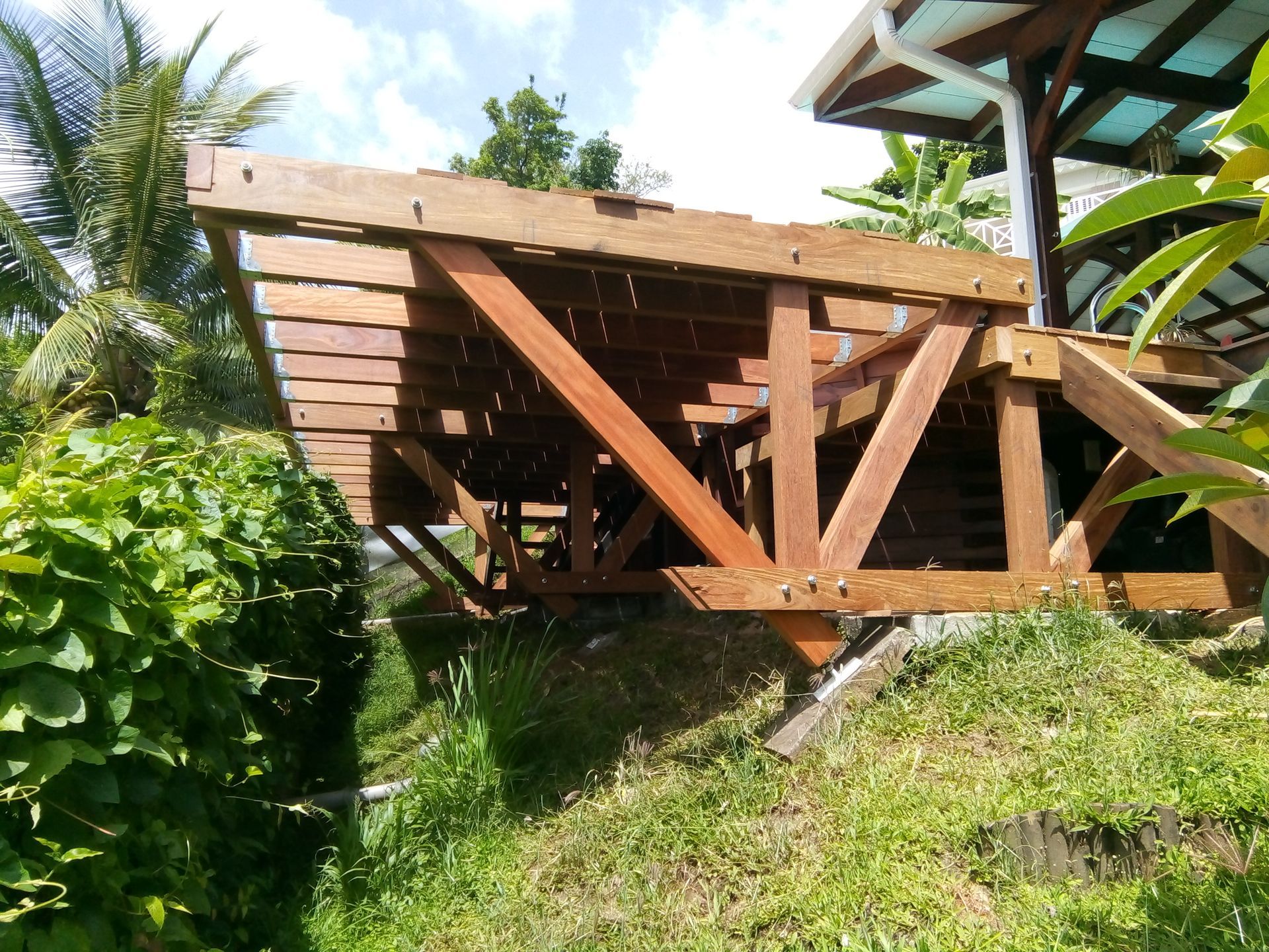 Terrasse ou plateforme en bois en cours de construction sur une colline herbeuse, entourée de plantes tropicales.