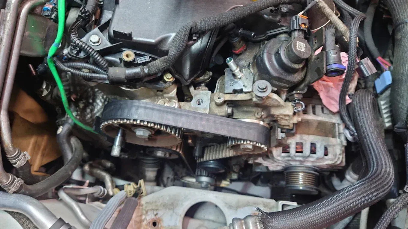 Compartiment moteur d'une voiture avec courroie de distribution, poulies, durites et câblage apparents