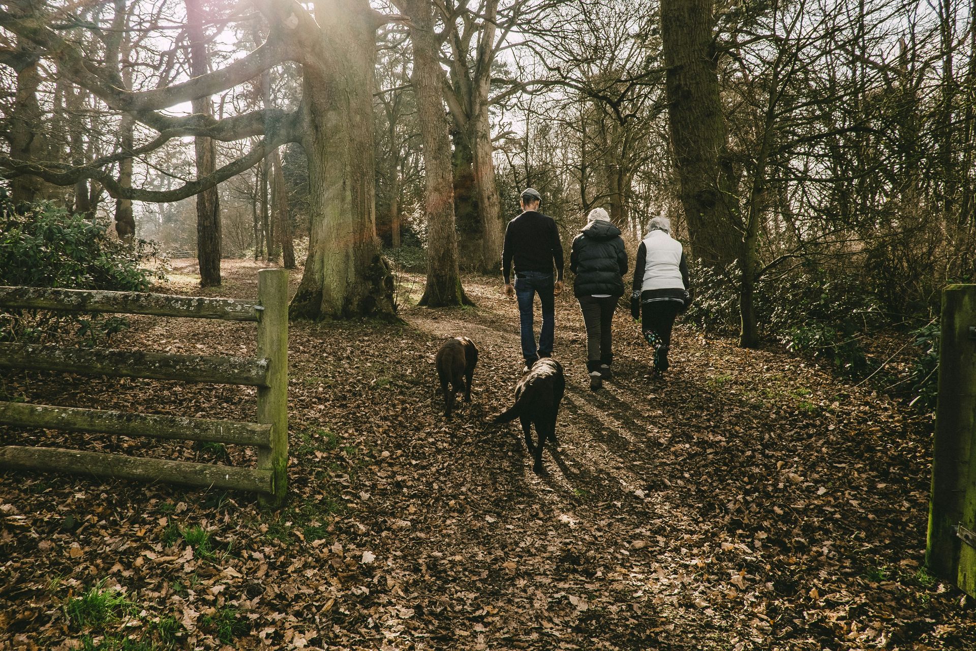 hiking through forest