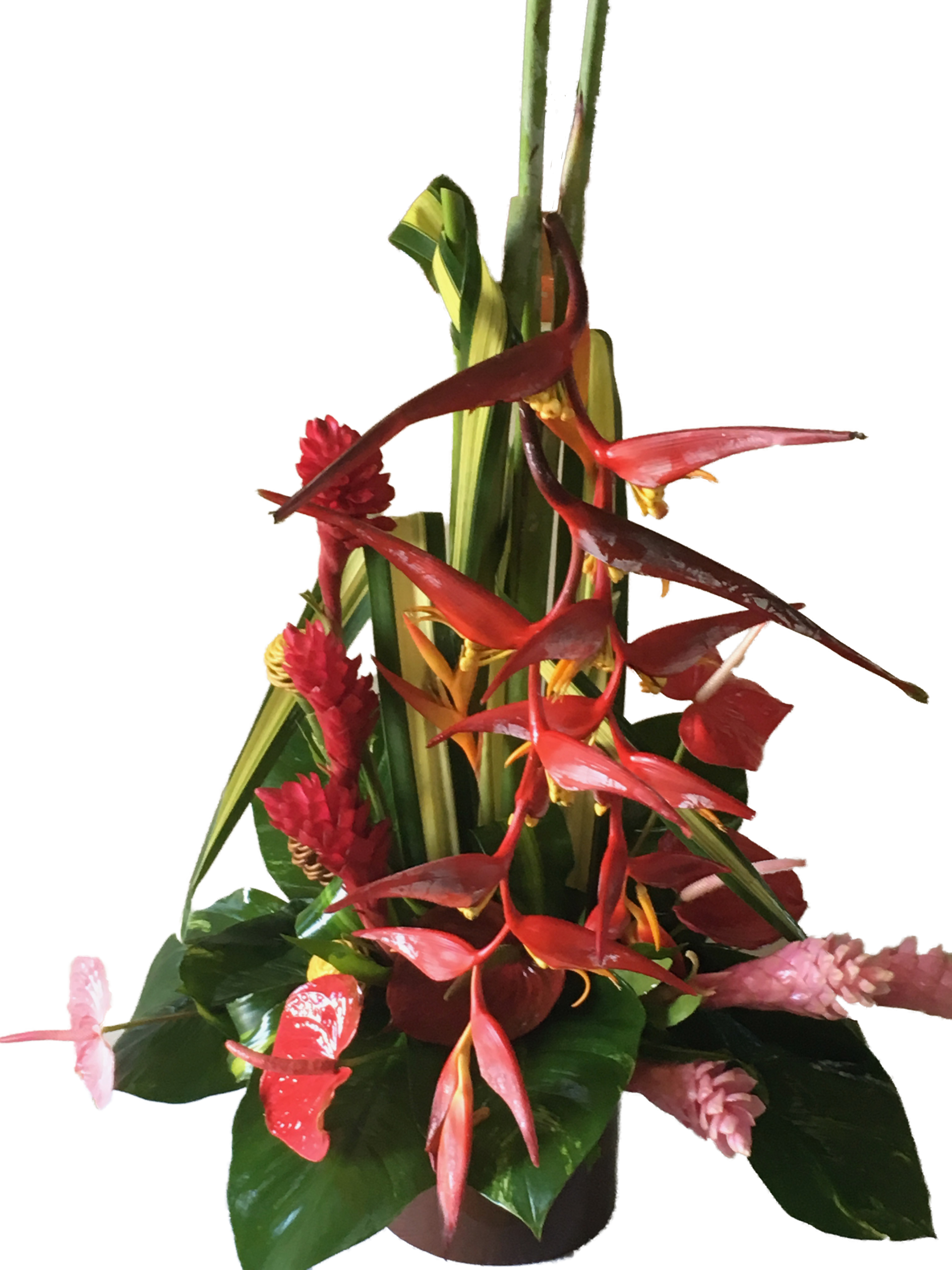 Couronne bleue blanc rouge