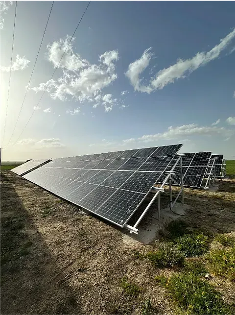 Una fila de paneles solares colocados encima de un campo de tierra.
