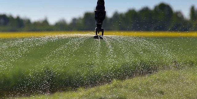 Un aspersor está rociando agua sobre un campo de césped.