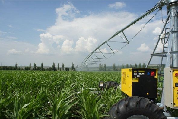 Un sistema de riego amarillo y negro está rociando agua en un campo de maíz.