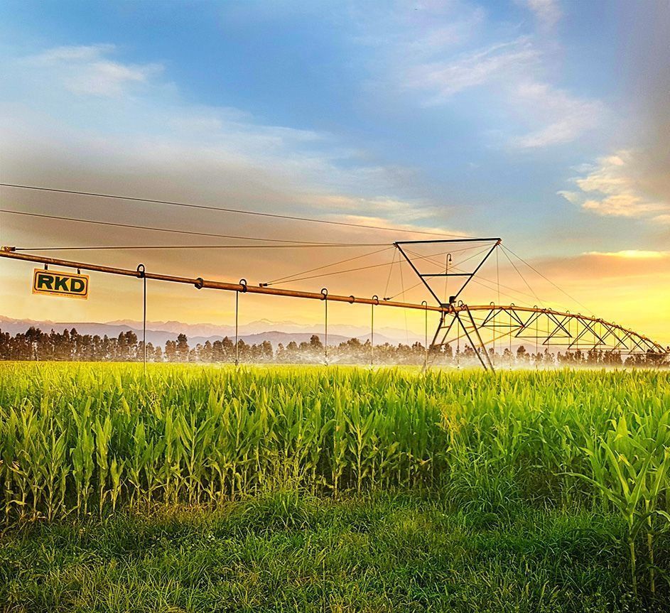 Un campo de hierba con un cartel que dice rkd