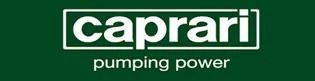 El logotipo de Caprani Pumping Power está sobre un fondo verde.