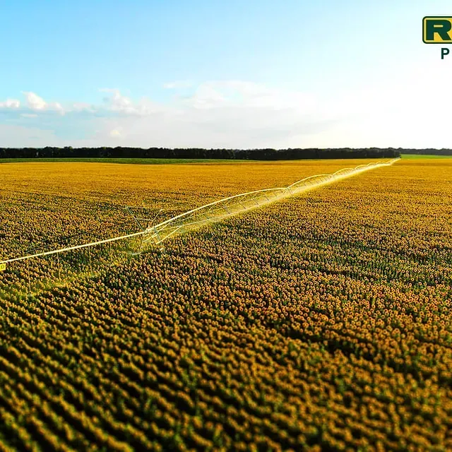 Una vista aérea de un campo con la letra r en la parte inferior derecha