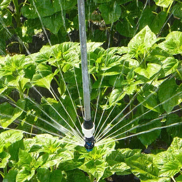 Un aspersor está rociando agua sobre un montón de plantas verdes.