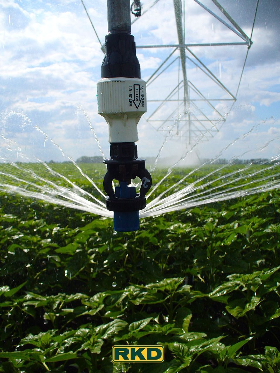 Un aspersor está rociando agua en un campo con rkd escrito en la parte inferior