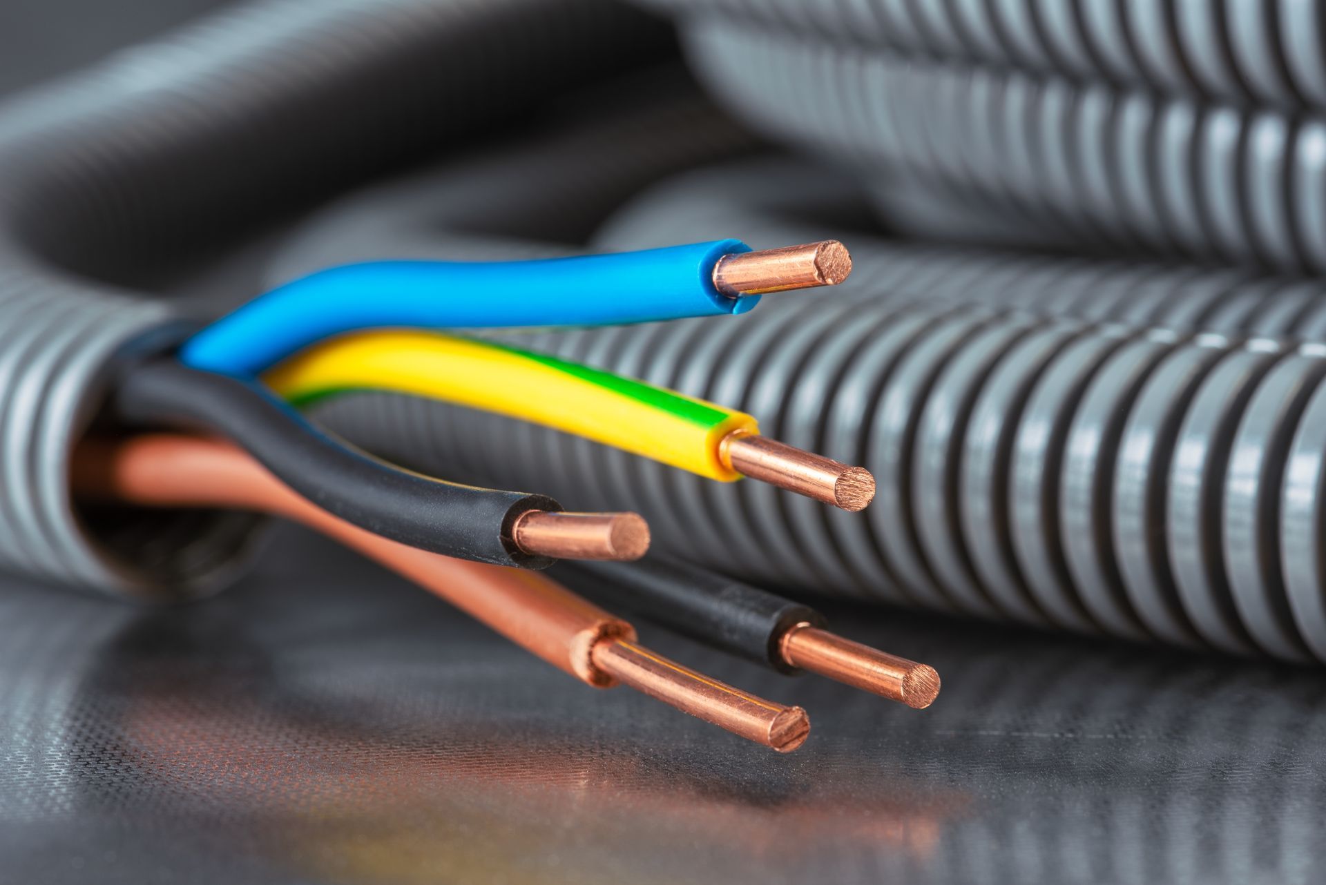 Des fils électriques colorés sortent d'une gaine grise, leurs extrémités en cuivre apparentes.