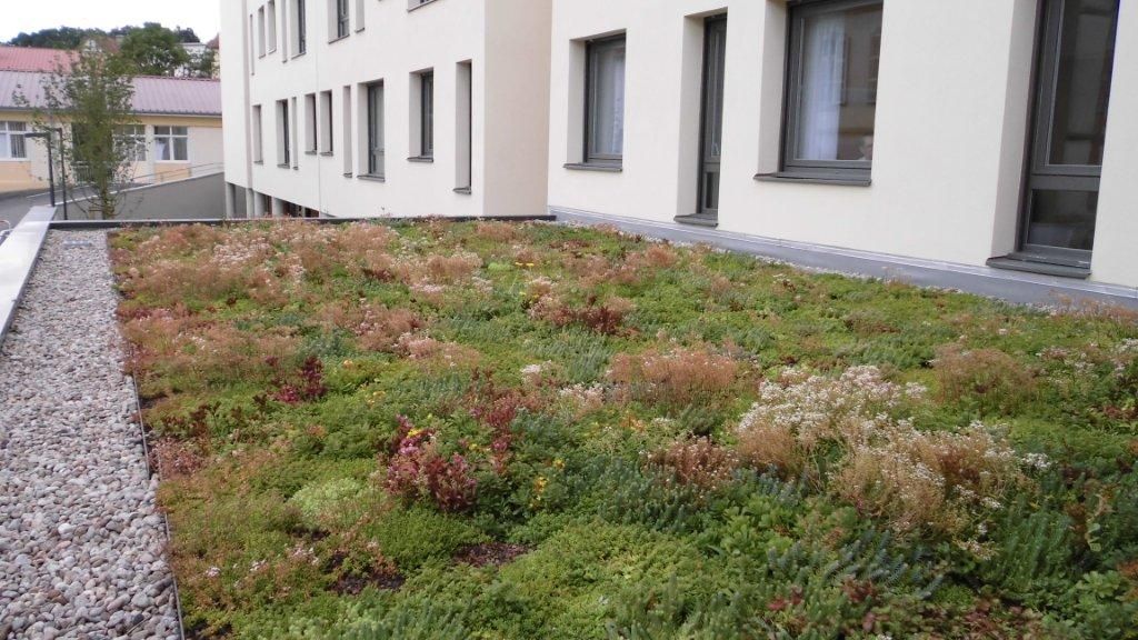 Toit-terrasse avec massifs de végétation et pierres décoratives devant des fenêtrs