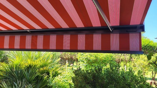 Auvent rayé rouge et blanc s'étendant au-dessus de la verdure dans un cadre extérieur ensoleillé.