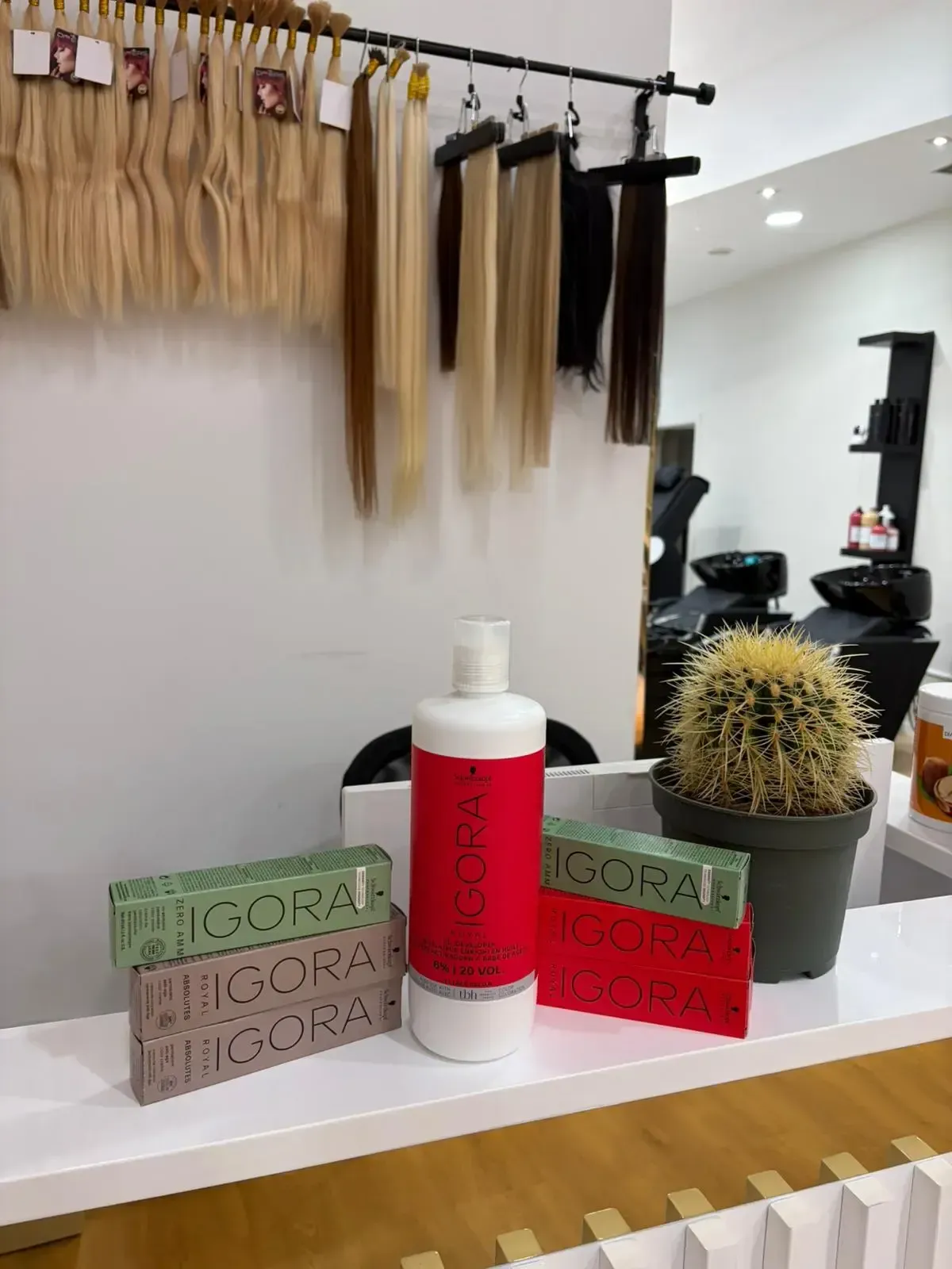 Extensiones de cabello, productos y un cactus en el mostrador de un salón, con muestras de cabello colgando encima.