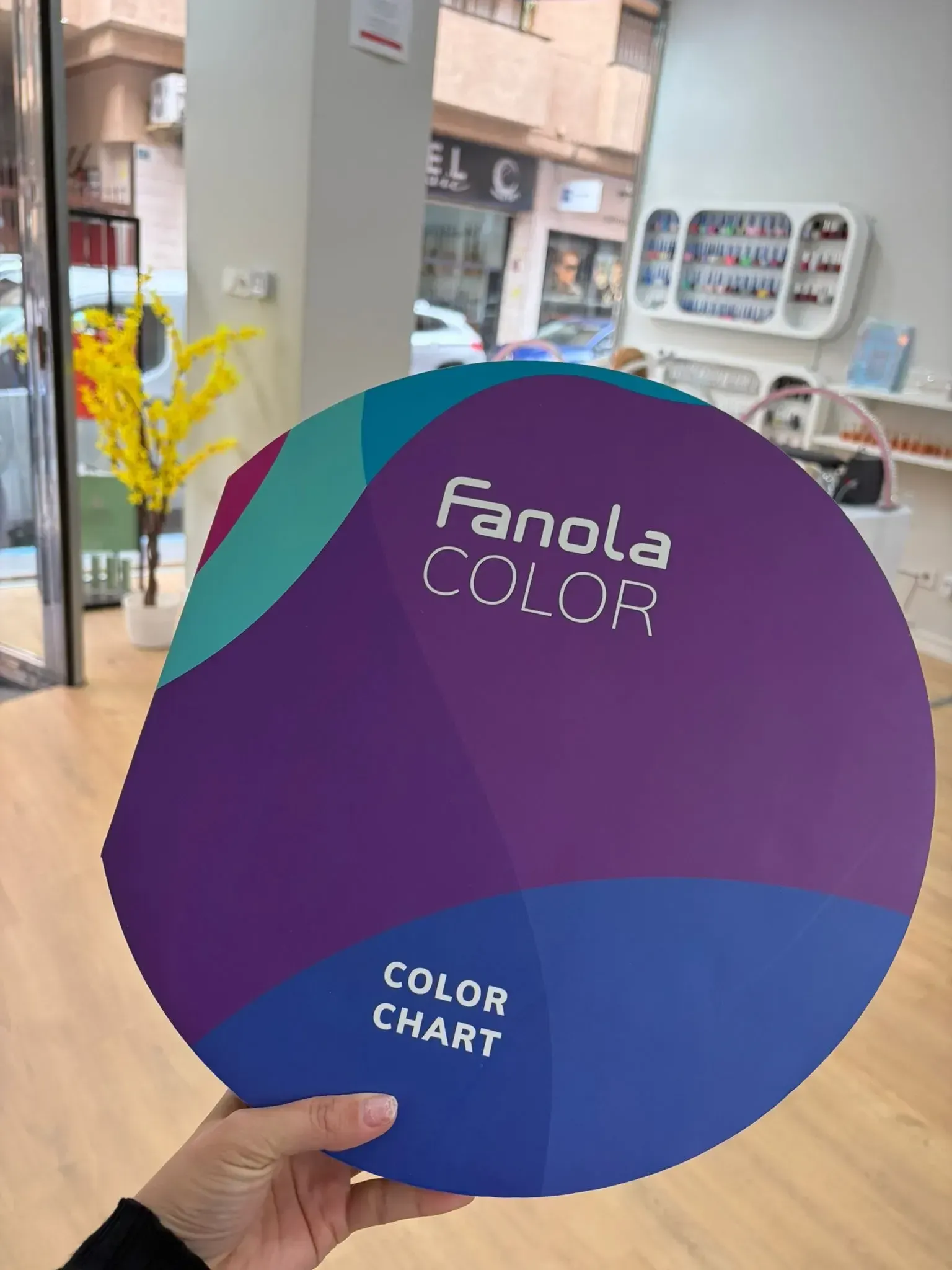 Mano sosteniendo una carta de colores Fanola con tonos morado, azul y verde azulado. Dentro de un salón.