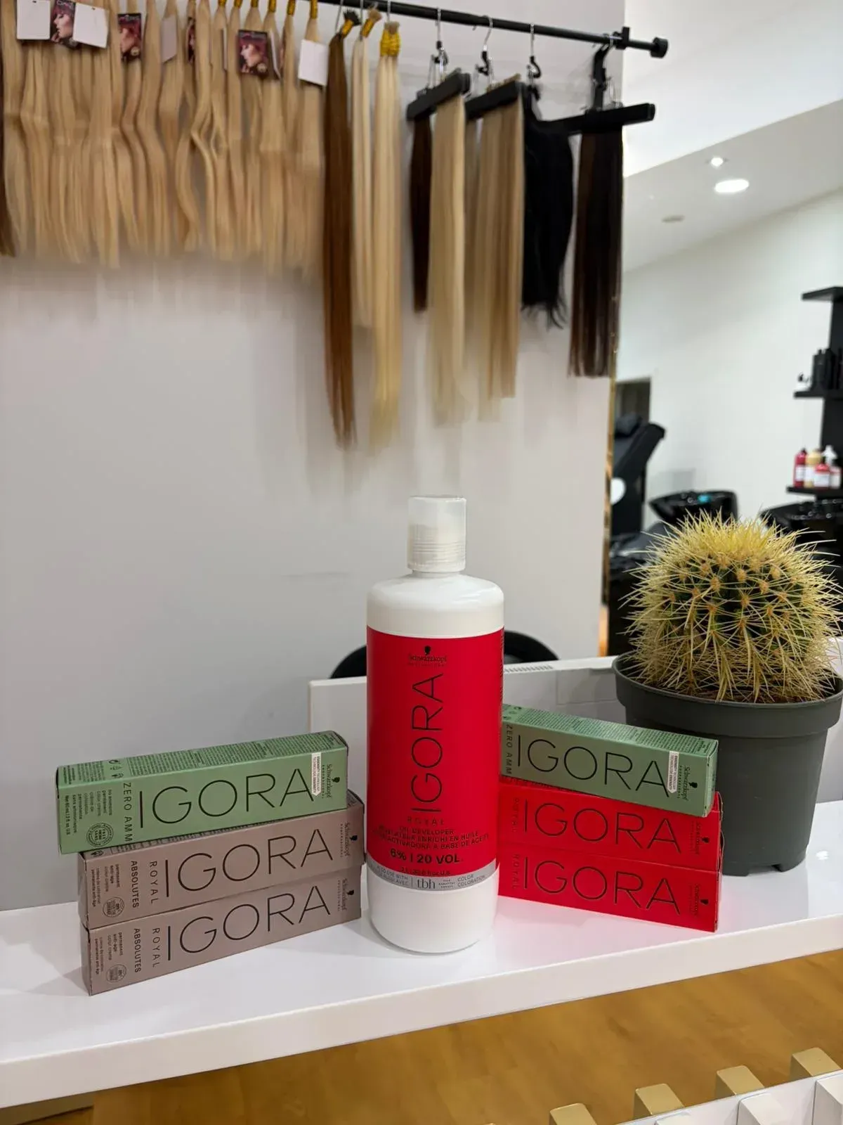 Exhibición de peluquería con extensiones de cabello, tinte para el cabello y un cactus.