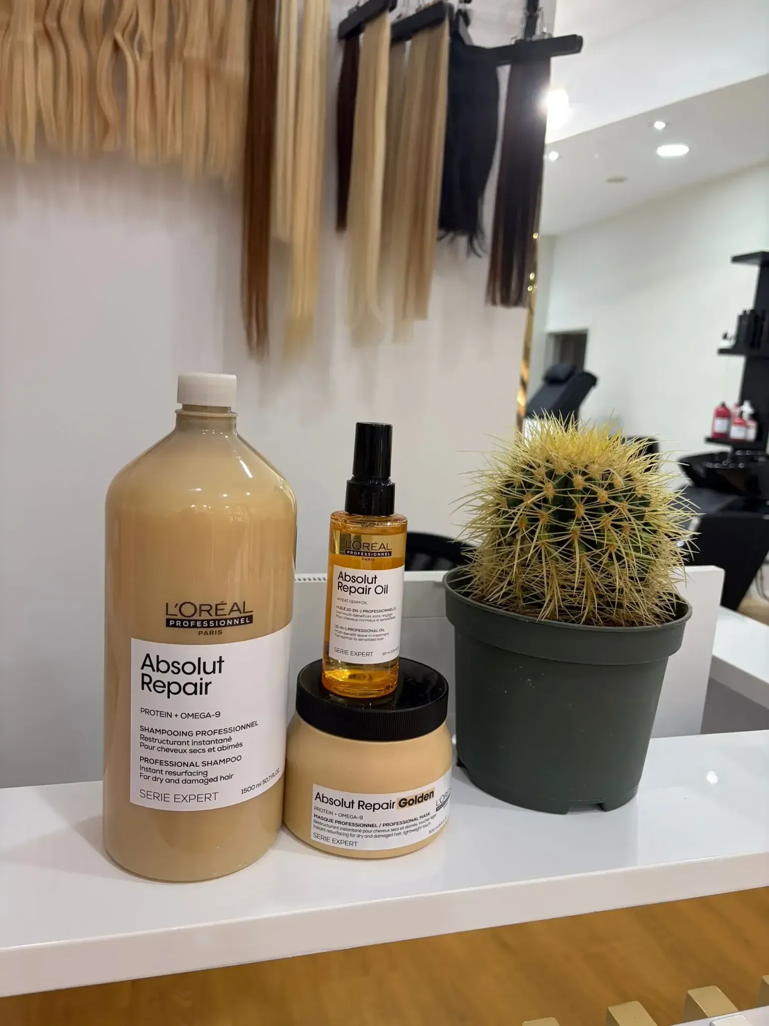 Productos capilares expuestos con un cactus en un salón de belleza. Extensiones colgadas al fondo.